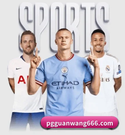 PG官网的故事